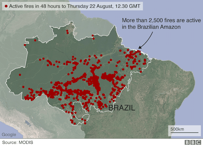 Lungs of the world Brazil (Filling with Smoke).