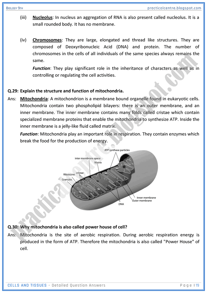 cells-and-tissues-detailed-question-answers-biology-9th-notes