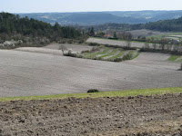 Peu probable mais toujours issue de l’occitan « aucha » qui signifie oie, du latin tardif « avica », dérivé du latin « avis » oiseau en français. La légende conte qu’une oie, tombée dans un gouffre près de Mensignac, serait ressortie à la fontaine de la Font de l’Auche, déplumée et bien vivante.