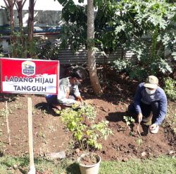 Ketahanan Pangan dengan Ladang Hijau Tangguh