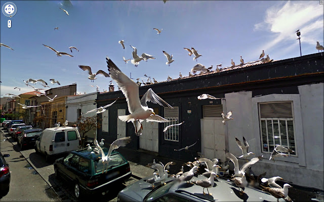 Fascinating Google Street View Picture Seen On www.coolpicturegallery.us