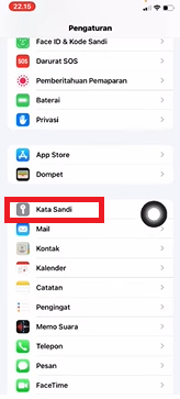 Cara Melihat Kata Sandi Instagram yang Tersimpan di iPhone Dengan Mudah