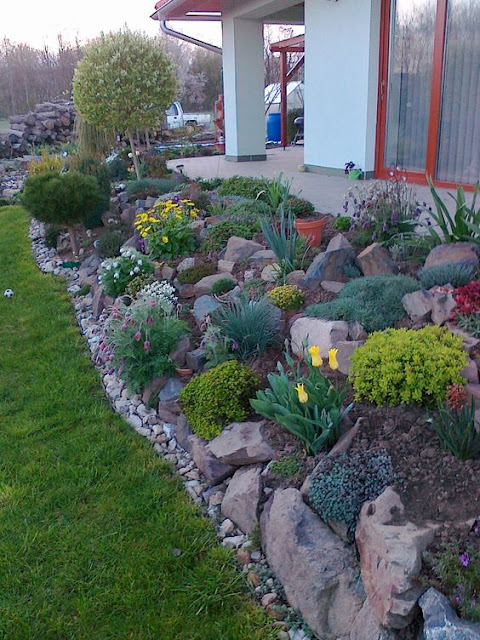 Rock Garden Ideas