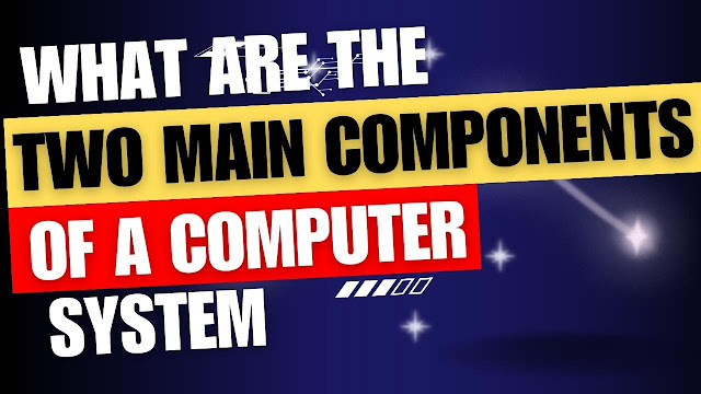 What are the two main components of a computer system?