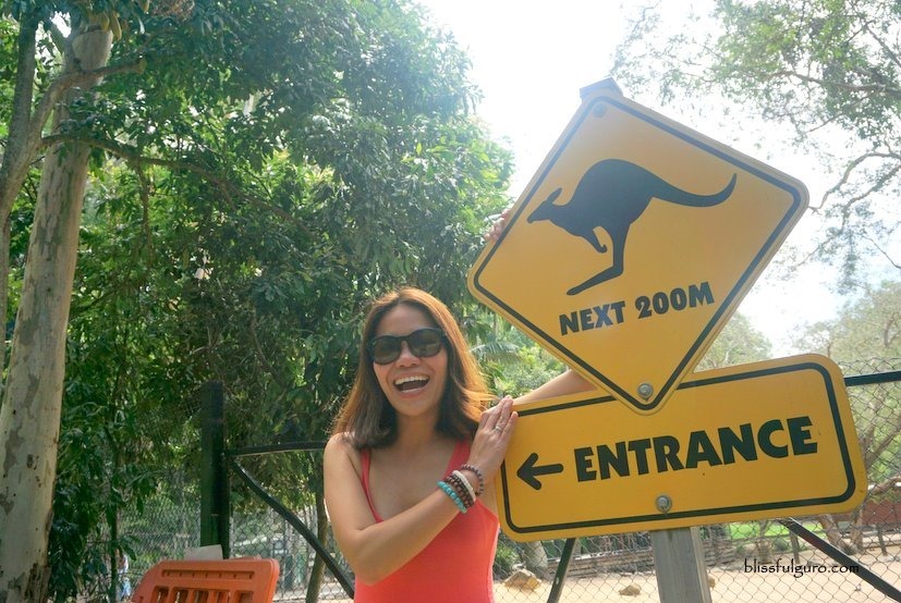 Australia Kangaroo Sign