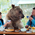 Russian Couple Adopted An Orphaned Bear 23 Years Ago, And They Still Live Together