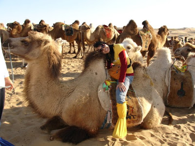 Camel Riding