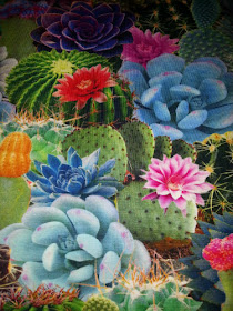 Digitale cactus tricot