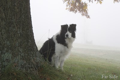 2012 Indiana