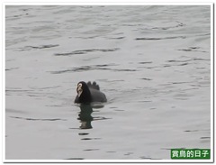 20120219_133648_062_JinSan_1