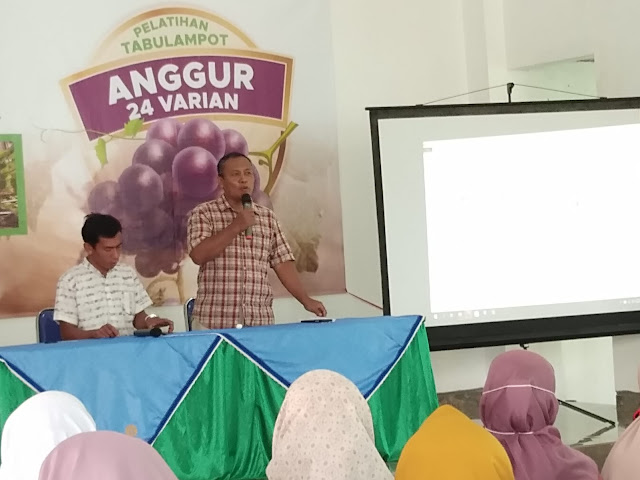 Pelatihan Tabulampot Anggur PD Persistri Bandung Barat Bersama Yans Nusery Farm