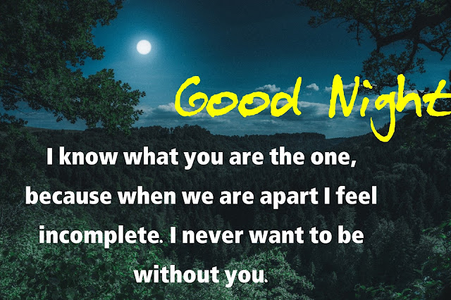 Good night quotes in English with images