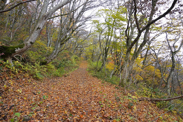 鳥取県西伯郡大山町大山　横手道