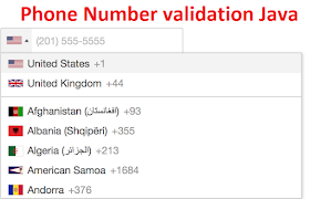 How to validate phone number in Java?