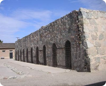 cell-2