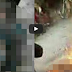 'Sadis' Seorang Pria Dibakar Hidup-hidup Oleh Warga Gara-Gara Mencuri Ampli di Masjid