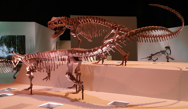 Postosuchus (Rauisuchidae) ve Desmatosuchus (Aetosauria)