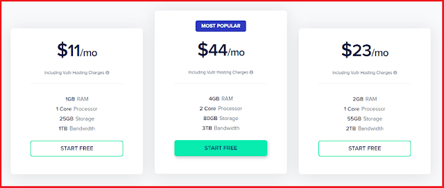 Cloudways Vultr Pricing