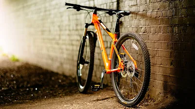 Image result for indian cycle industry