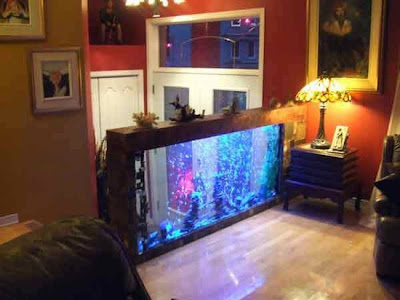 fish aquarium design