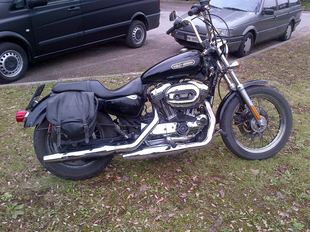 1200 sportster 2006 Sportster XL 1200cc Low for sale