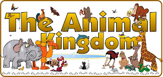  The Animal Kingdom, 5th grade