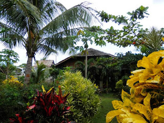 Reggae Guesthouse bohol