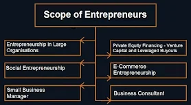 Scope of Entrepreneur