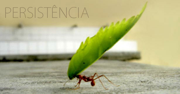 PERSISTENCIA