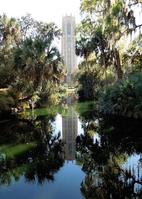 Reflection Pool