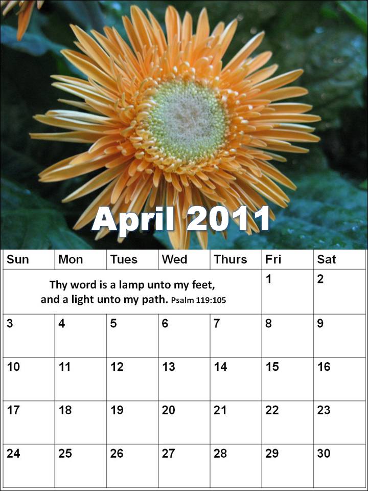 2011 daily calendar template. daily work schedule template.