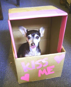 doggy kissing booth