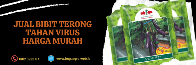 jual,murah,toko pertanian terdekat,lmga agro,lmga