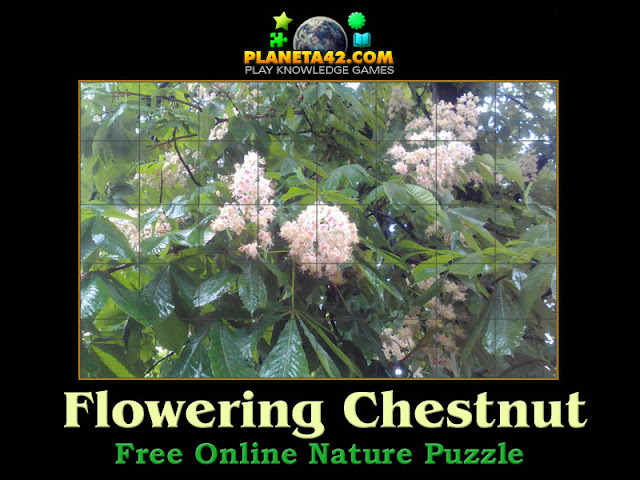 Chestnut Blossom Puzzle