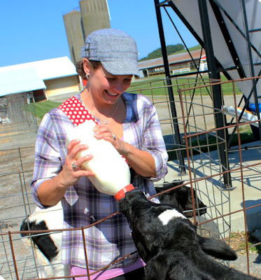 Baby calves are kept at a separate farm at Andreas Dairy to protect them from disease and illnesses.