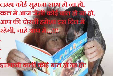 hindi poetry, hindi funny poetry, funny hindi poetry images, image poetry, funny pictures, funny poetry, funny poetry on picture in hindi, funny monkey pictures, funny dog photos, animal funny pictures, hind funny sms, 