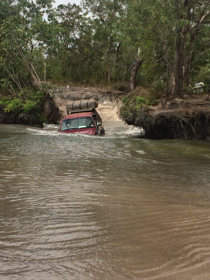 Nolans is a deep crossing that apparently causes a few problems. 