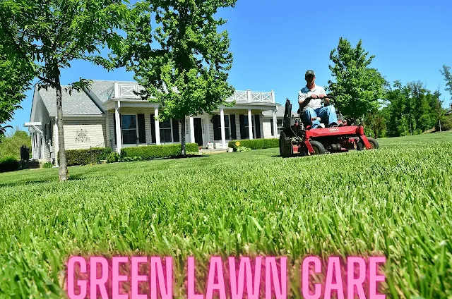 10 Lawn Care Tips to Green Lush Grass