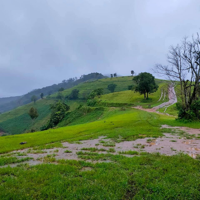 mae tho national park, maetho national park, mae tho, maetho, chiang mai national park, national park in chiang mai