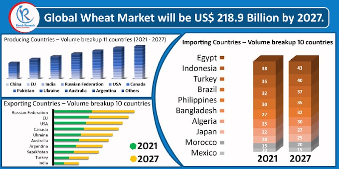 Global Wheat Market & Volume By Production, Import, Export, Forecast