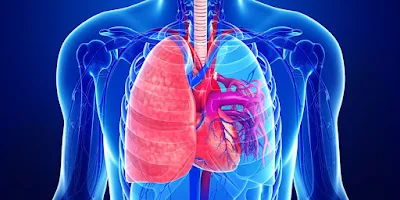 Millones de dólares por compensación del mesotelioma