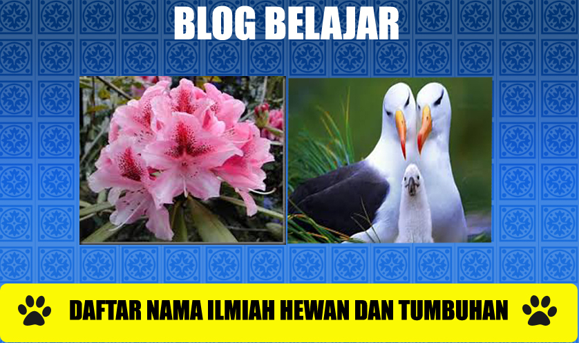 Ide 27 Nama Ilmiah Hewan Dan Tumbuhan Ide 27 Nama Ilmiah Hewan Dan Tumbuhan