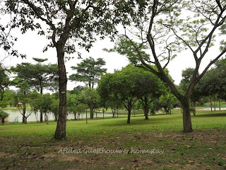 Foto 7: Pohon hijau dan tasik