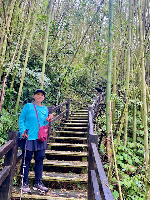 頂石棹步道--霧之道