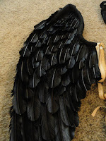 Make Bird Wings Costume