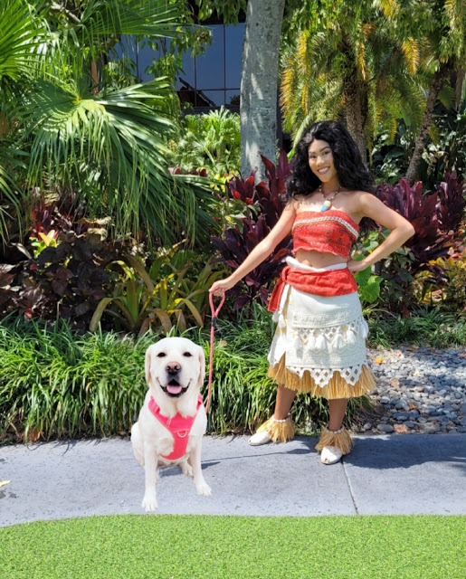 Where to find  Moana at Disney