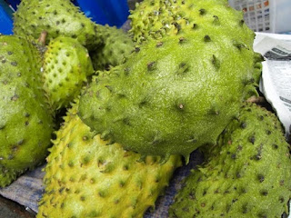 Durian Belanda Penawar Kanser?  Ibu Berbicara