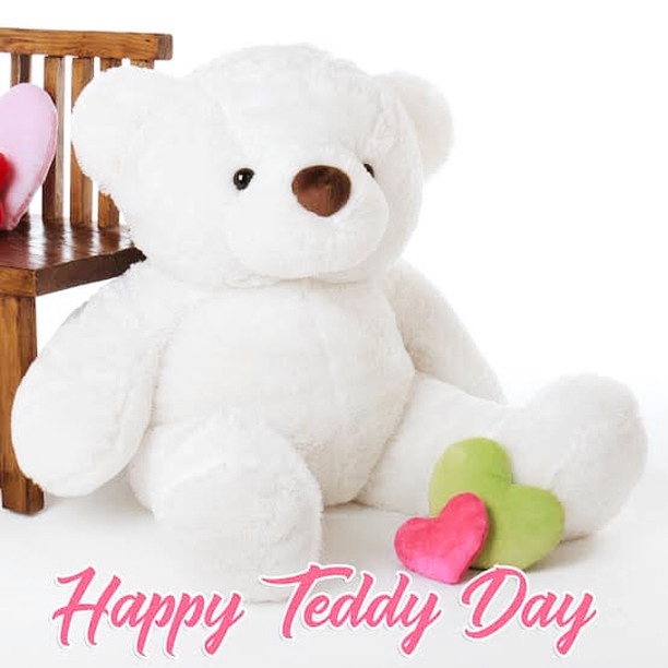 Valentine Teddy Day Images