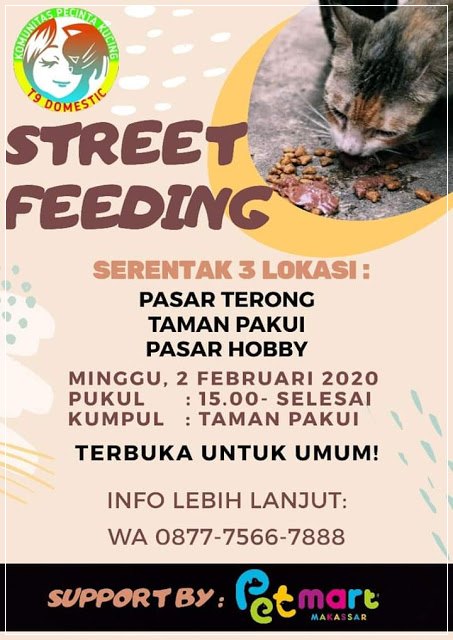 Beri makan kucing