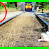 See what the dog did for a young child